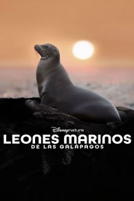 VER Leones Marinos de las Galápagos Online Gratis HD