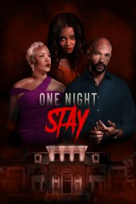 VER One Night Stay Online Gratis HD