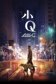 VER Xiao Q (2019) Online Gratis HD